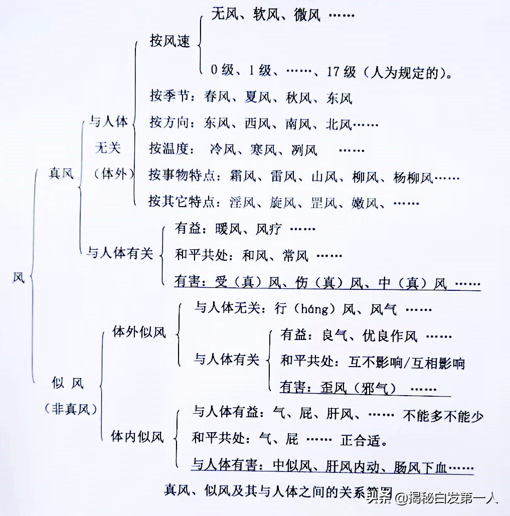 学医从入门到转行,学医从小学起