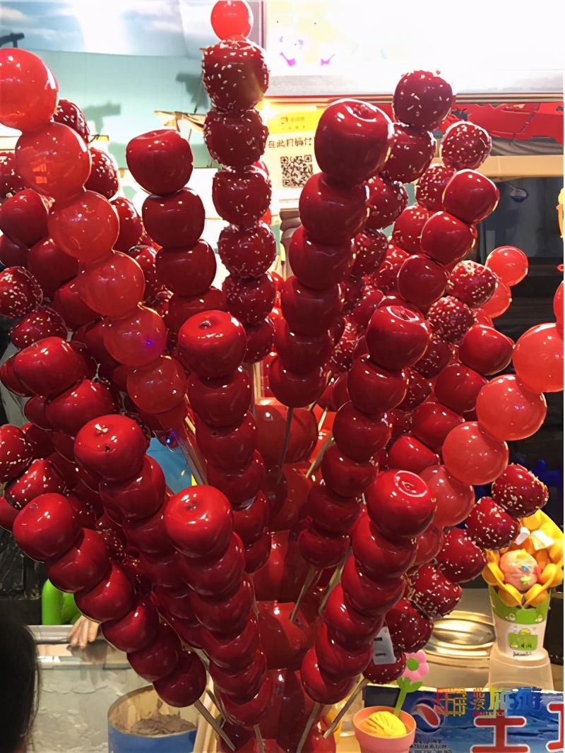 北京海洋馆超大锦鲤,北京海洋馆锦鲤