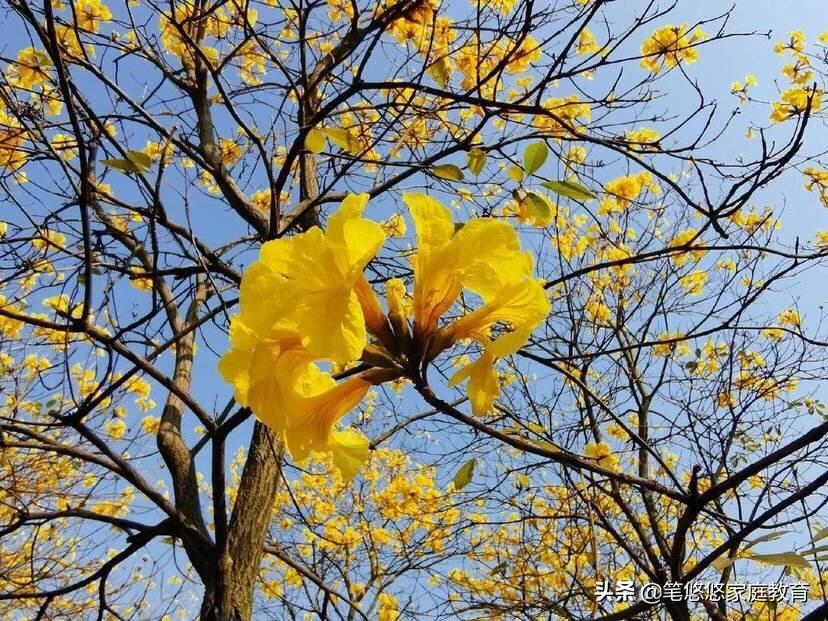 5分钟消除疫情焦虑,随时随地都可以做的意象沙游太简单有效啦!