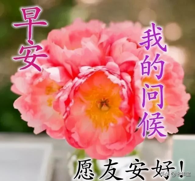 早上好周末愉快问候语动态表情包,周一问候早上好带字美图