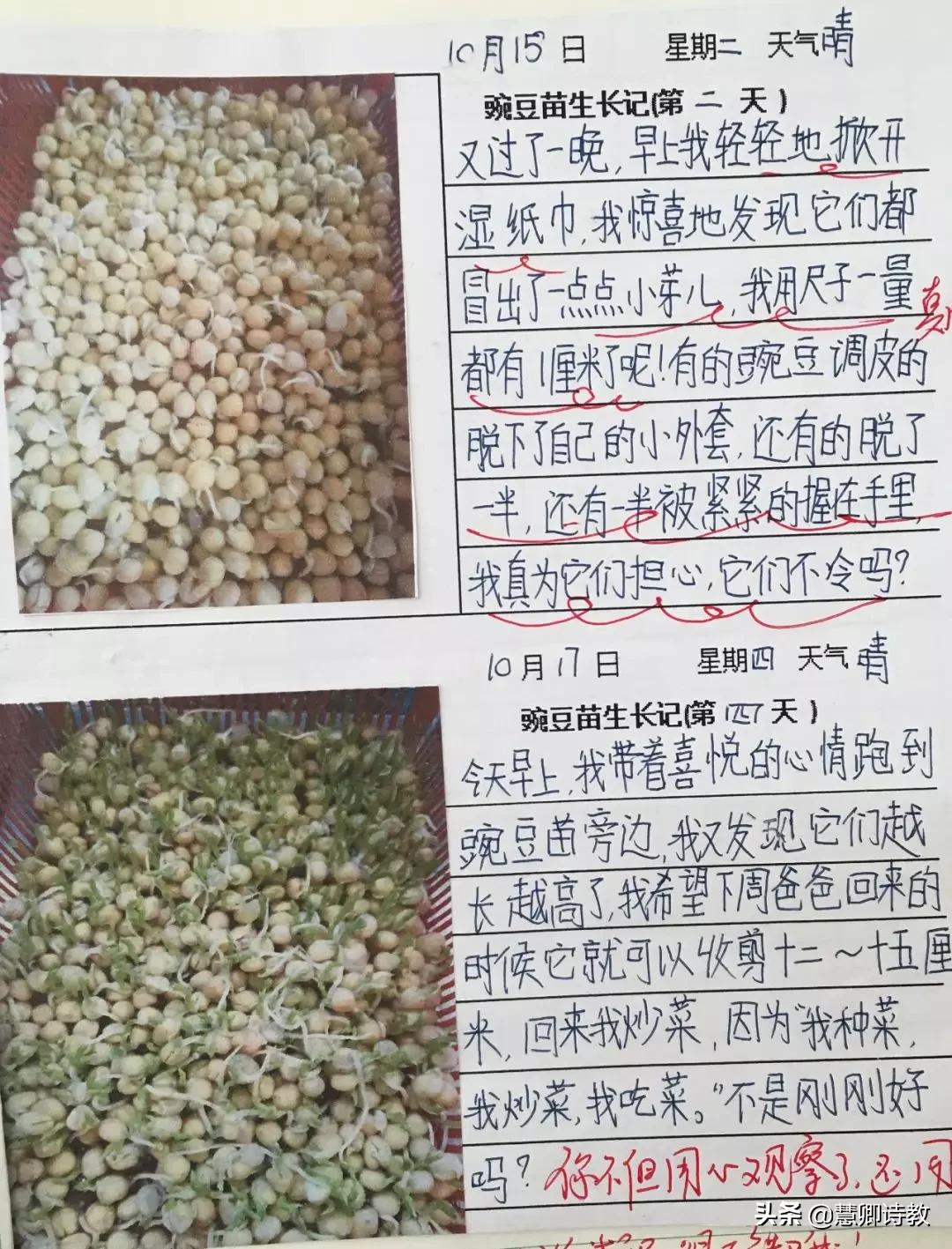 学霸笔记四年级知识点,四上语文第一单元知识点