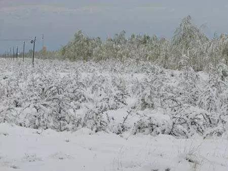 我国最后一次饥荒发生在什么时候,饥荒下雨怎么防止冻死