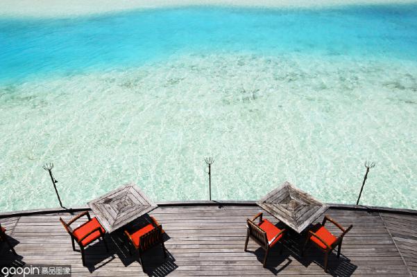 马尔代夫最震撼的海底,世界上最漂亮的海底珊瑚礁