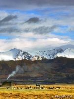 收藏各省老酒,收藏全国各地的牌子