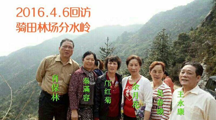 难以释怀的知青情结,60年代的知青情结