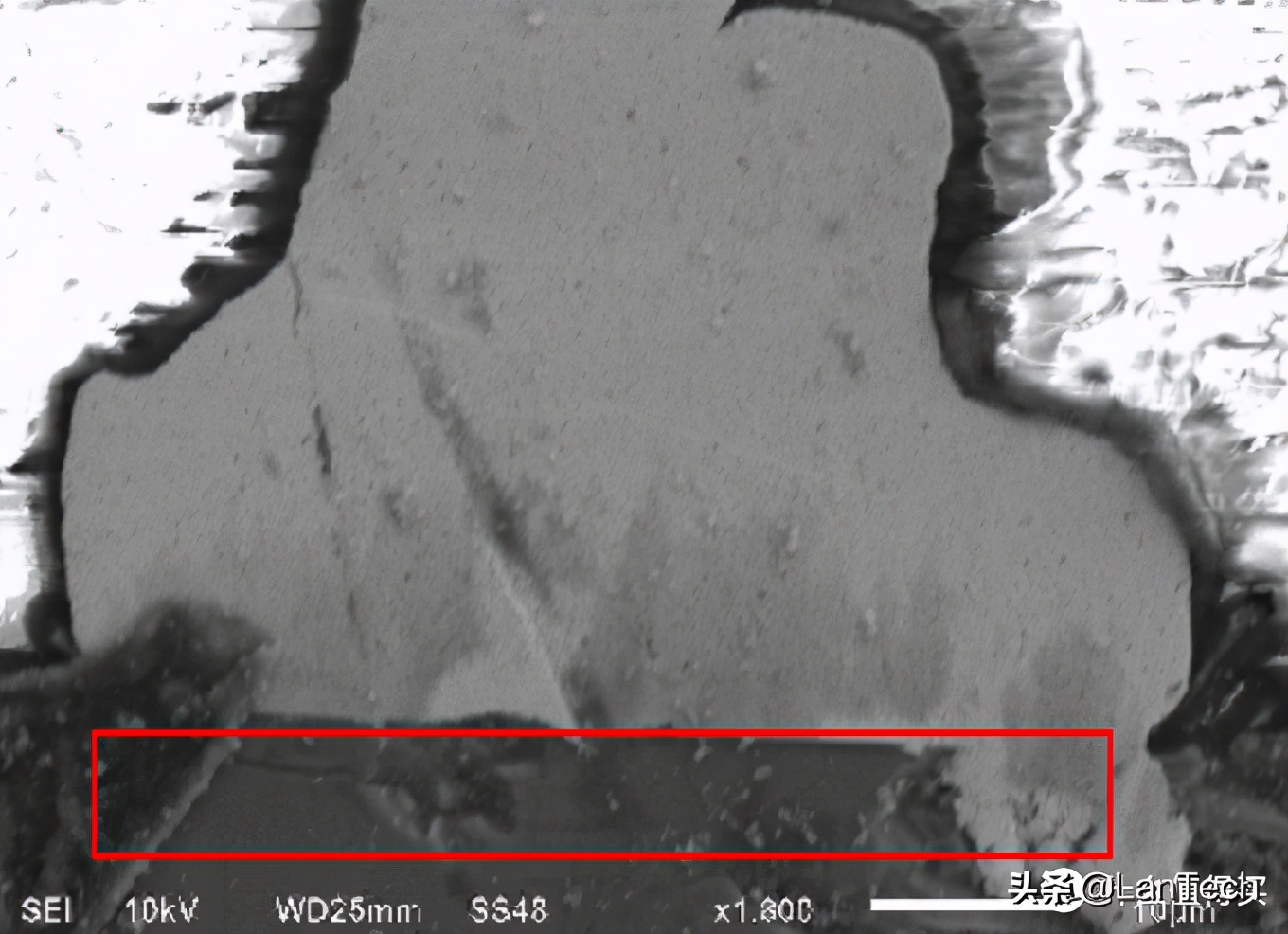 看芯片内部用什么显微镜,芯片在显微镜下的样子