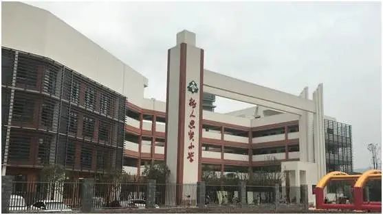 树人小学有初中吗,树人小学总校在哪里