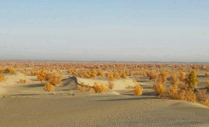 你永远不会体会到*疆新**公路的风情万种，除非你亲自自驾到那里！