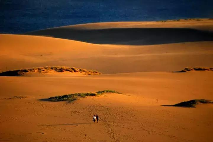 日本美景8k超高清,日本自然人文美景