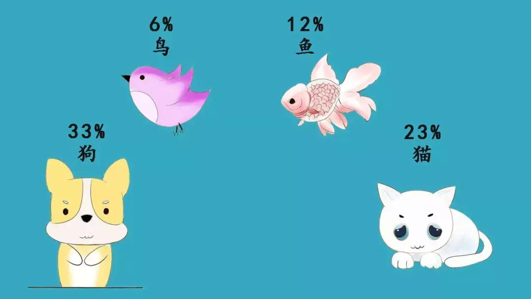 懒人最新逗猫技巧，让小猫玩的根本停不下来