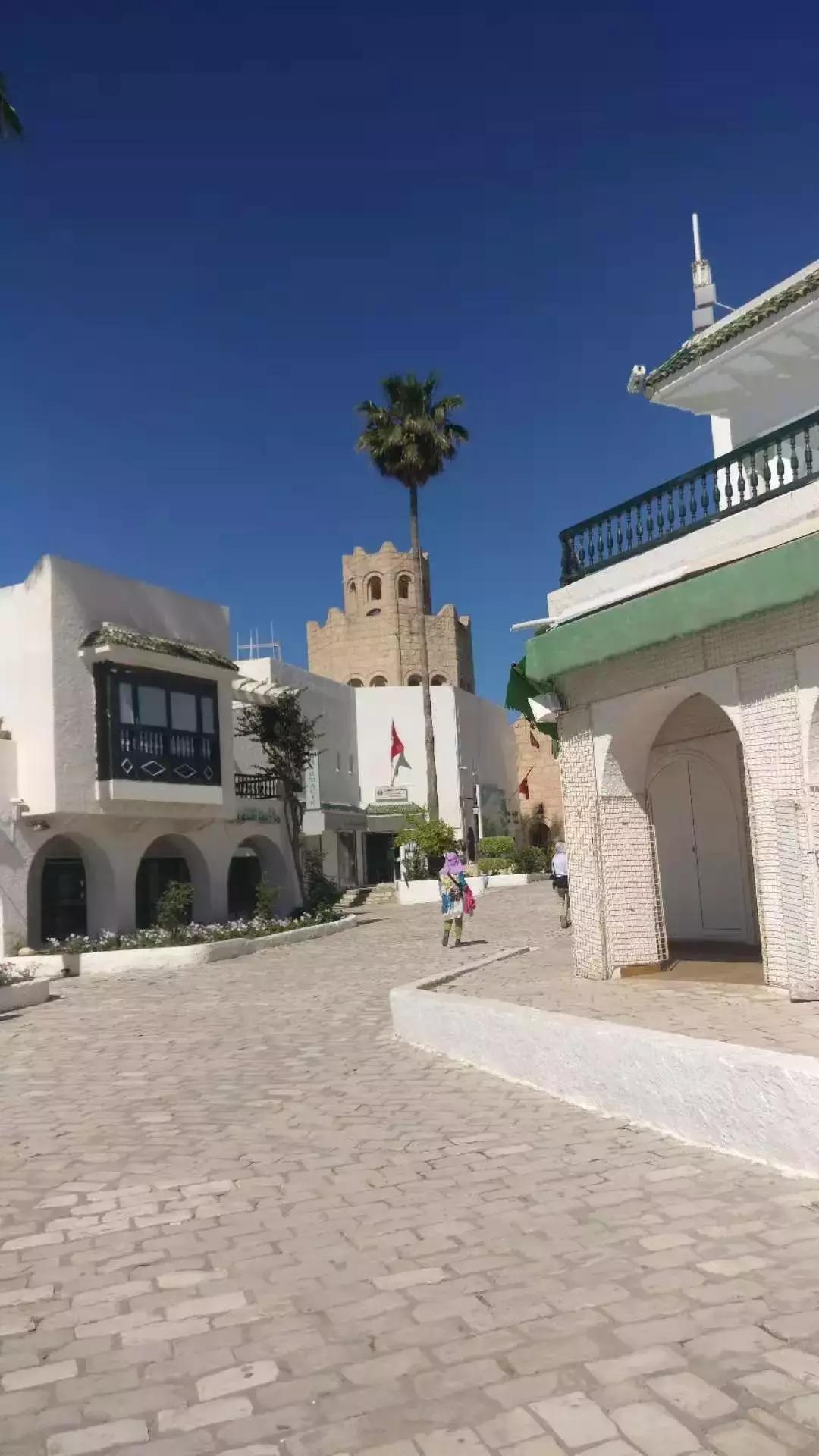 突尼斯是不是地中海,突尼斯一半沙漠