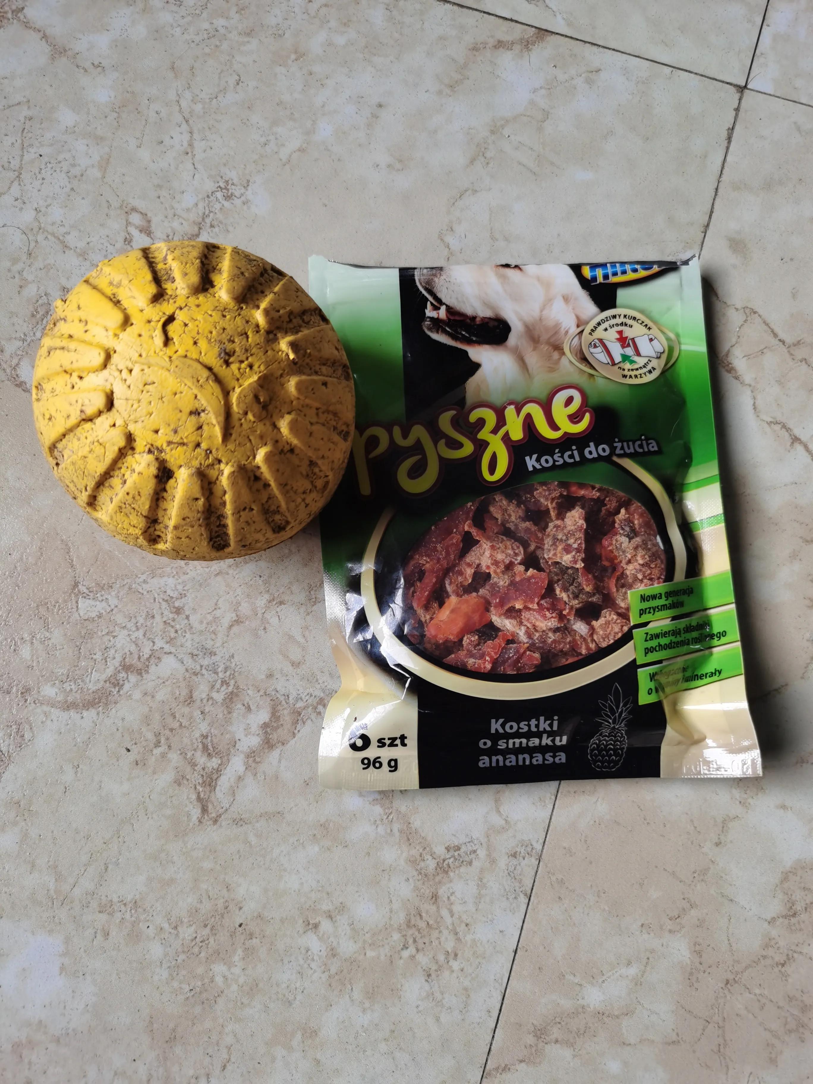 训练拉布拉多狗狗教程,训练拉布拉多狗的正确方法