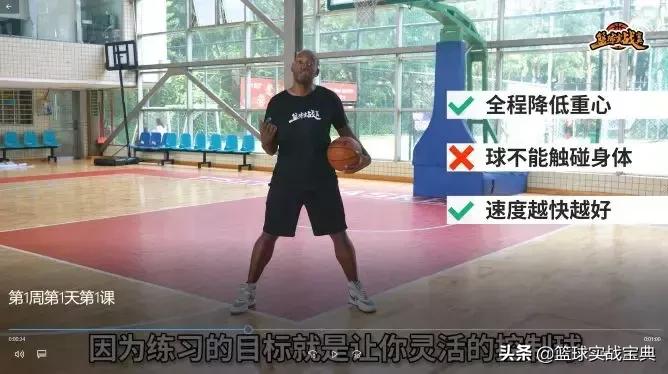 消灭小黑飞最高效最彻底的方法,消灭篮球小白