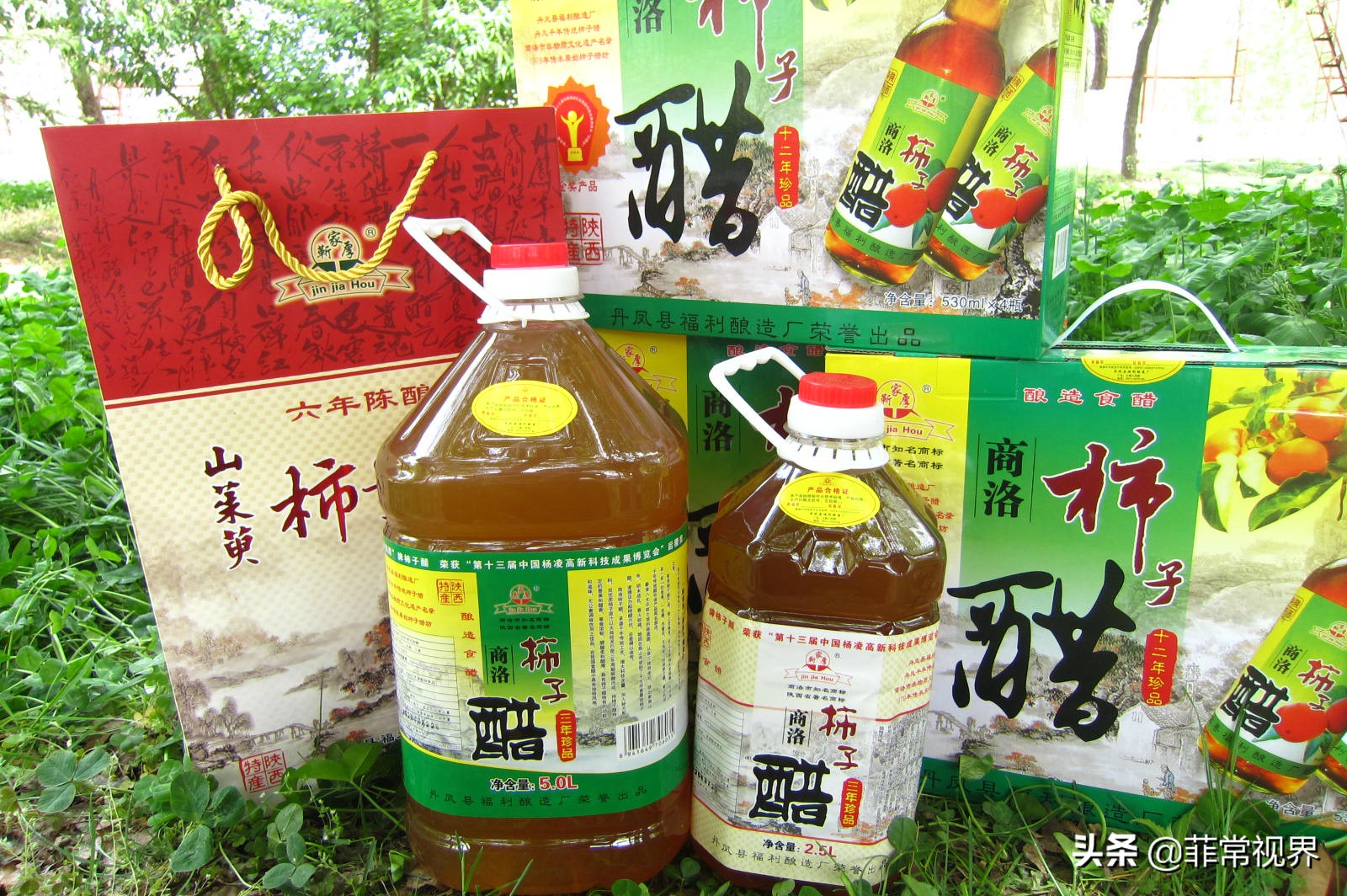 军魂铸热血，甘当传统酿醋传承人