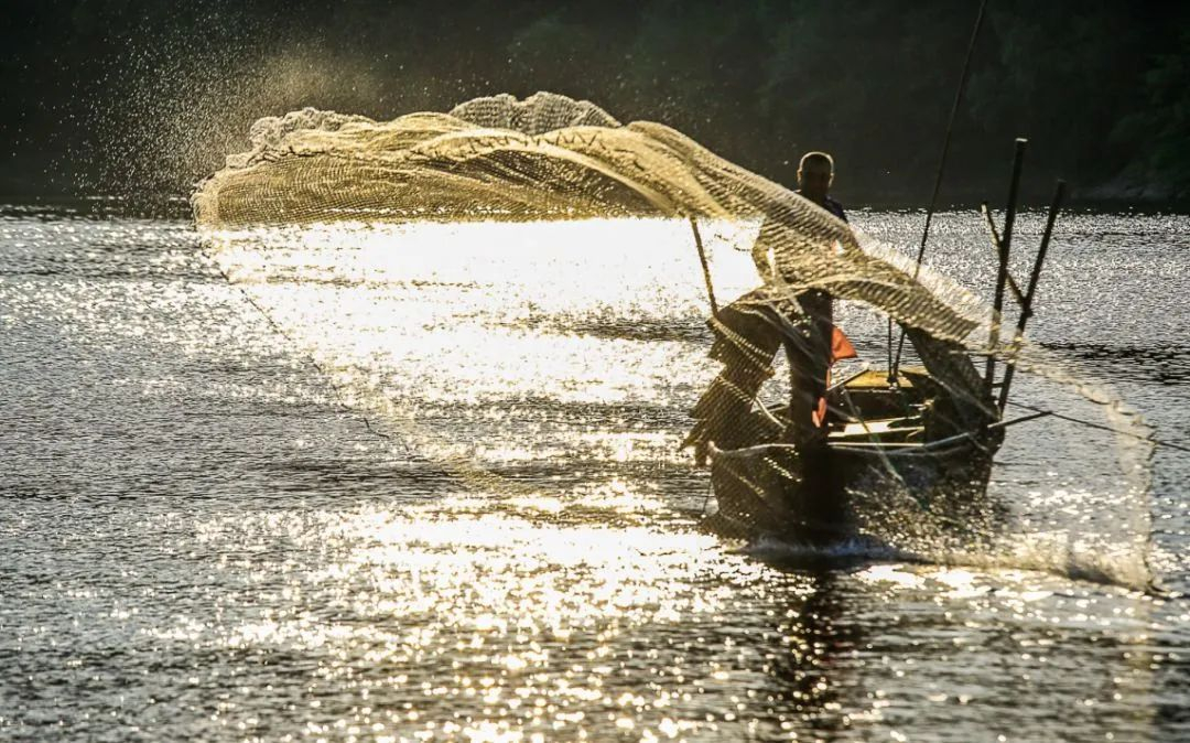 云雾奇观,自然云雾奇观