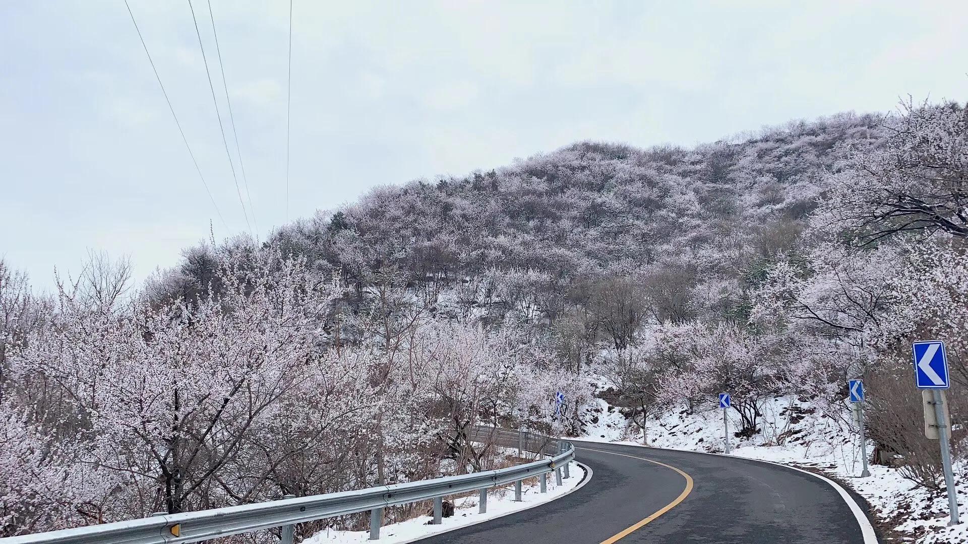 京西古村落枯藤老树,涧沟古村落