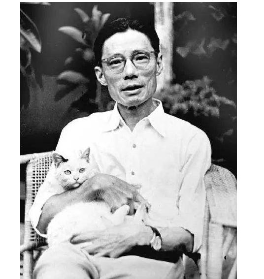 潜伏军统内部的36集谍战剧,谍战剧假借别人的身份潜伏