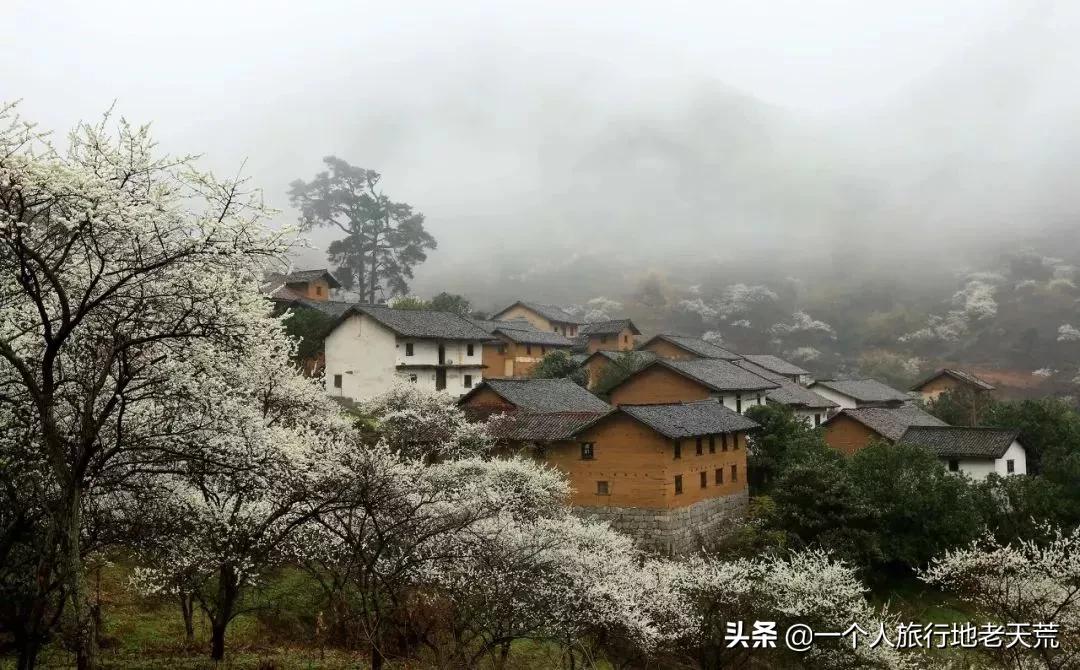 广西哪些城市是靠一碗粉火起来的,凭一碗螺蛳粉征服世界