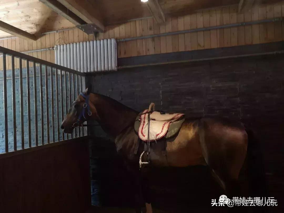 北京最有度假感的酒店，就在金海湖