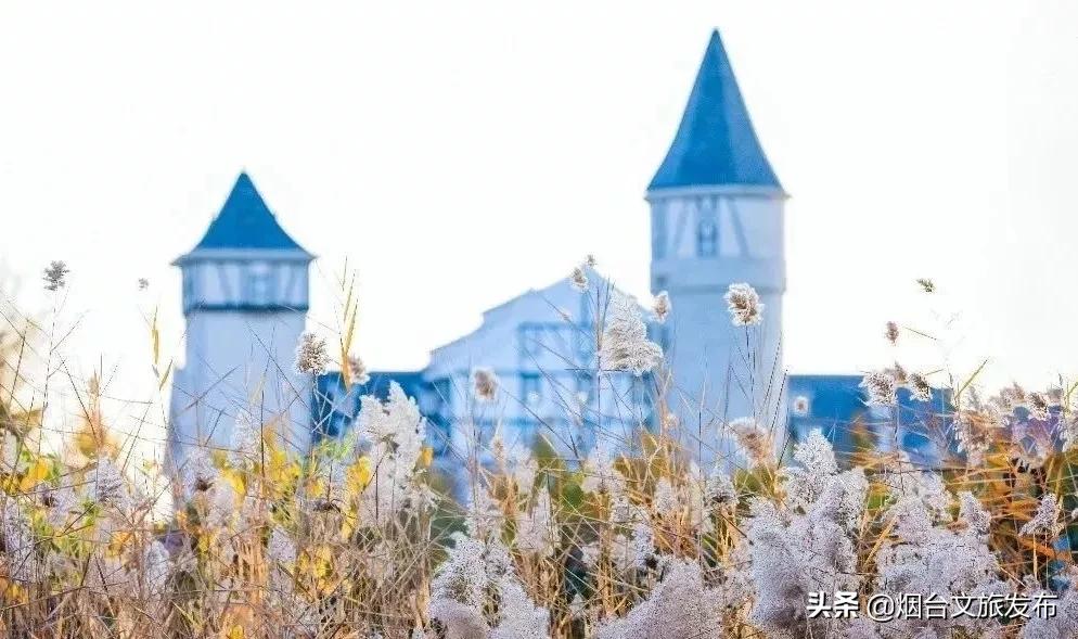 烟台张裕卡斯特酒庄值得去吗,烟台张裕卡斯特酒庄免费券