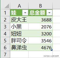 excel姓名和钱数排序,excel表格计算年龄并排序