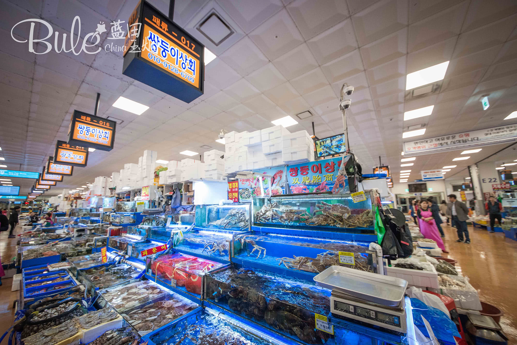 韩国人眼中的首尔海鲜市场,首尔最大的海鲜市场
