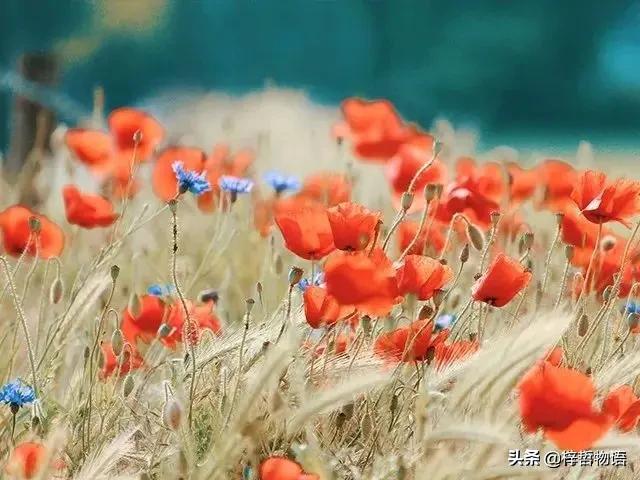 知乎摘录精彩问答56条，读后让人豁然开朗！