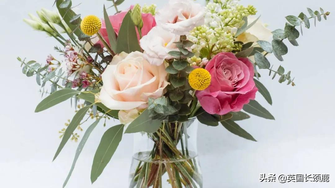 情人节来了怎么少的了fafa?英国鲜花速递服务大盘点:浪漫满分