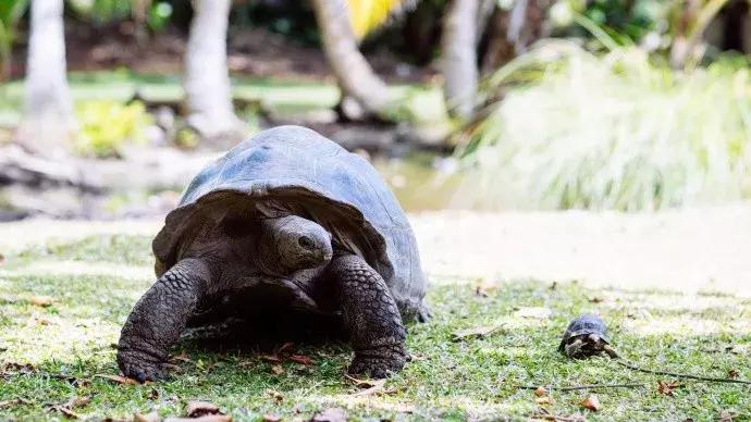 免签的亚洲海滩,六个免签海岛颜值完爆马岱