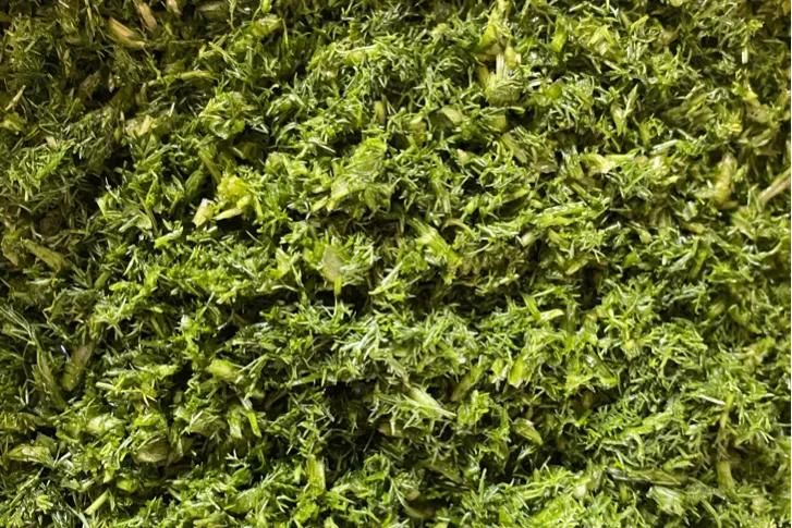 茴香鲜肉饺子鲜美极了,茴香猪肉饺子的正宗做法