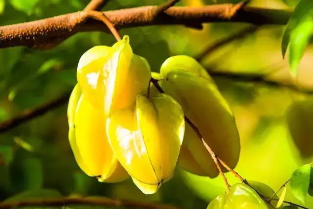 关于立秋的重要事,立秋关于立秋你知道多少