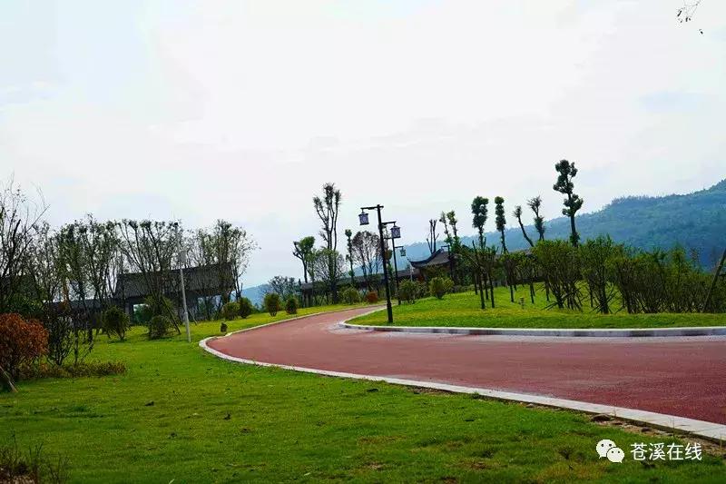 苍溪湿地公园有什么,苍溪最新湿地公园