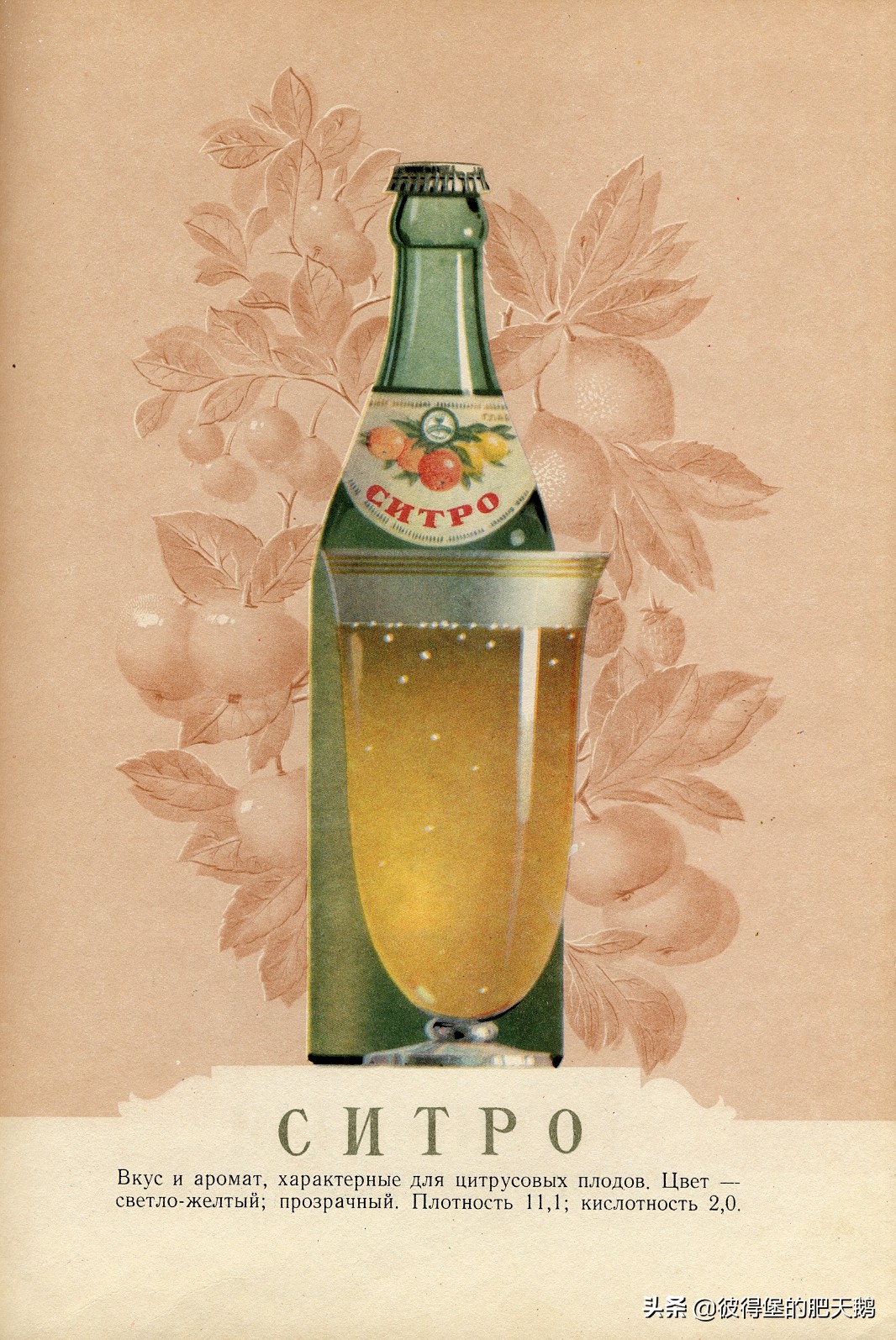 俄罗斯人回忆苏联汽水 (俄罗斯小时候的汽水)