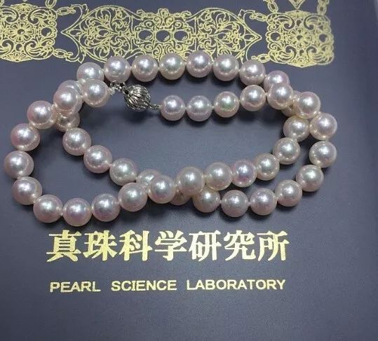 日本矮珍珠和日本珍珠一样的吗,同样是珍珠为什么有的贵