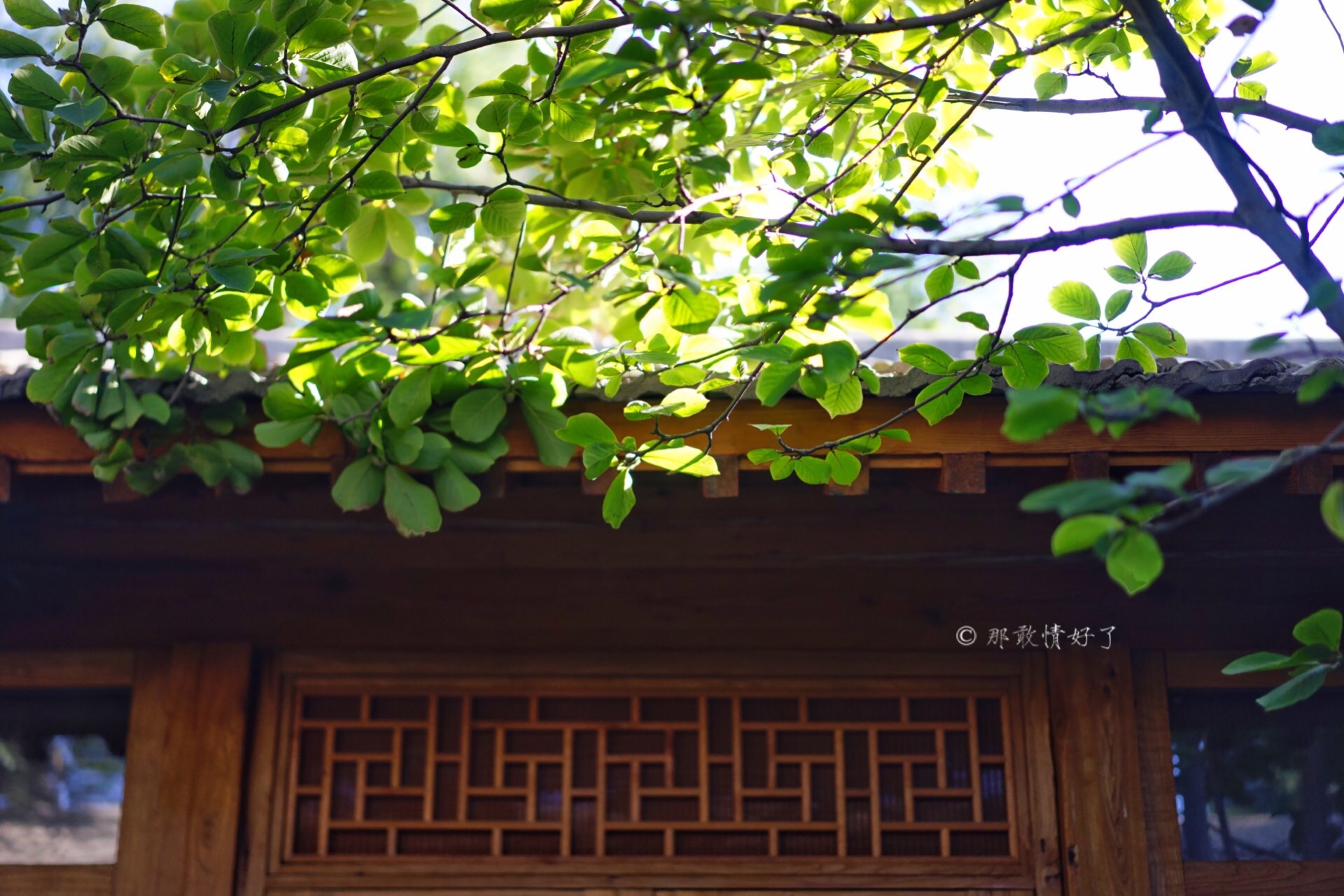 什刹海高端民宿,北京旅游胡同民宿