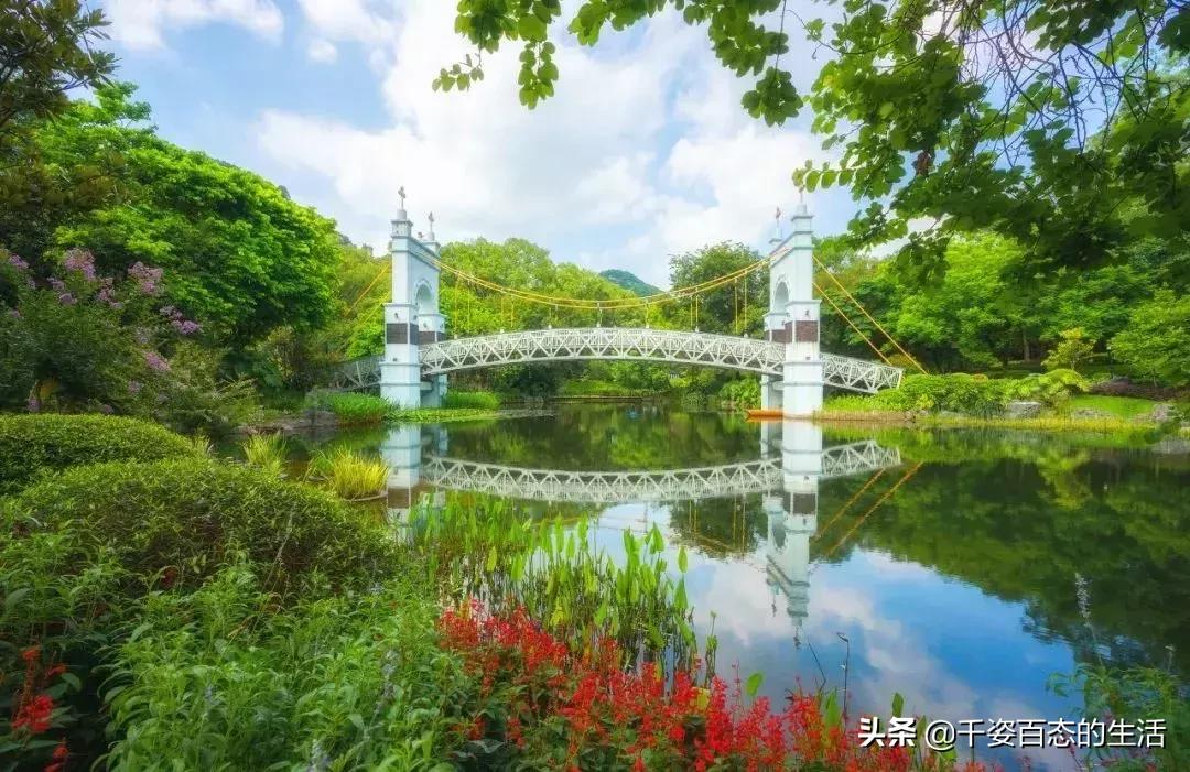 广西低调小城竟然藏了个小奈良,广西有座低调的养老小城