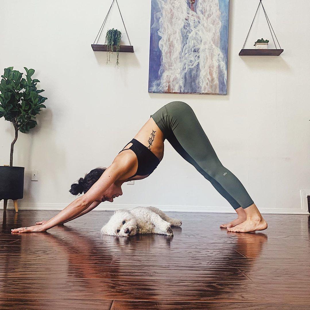 新手如何做瑜伽下犬体式,瑜伽下犬式有提臀的功效吗