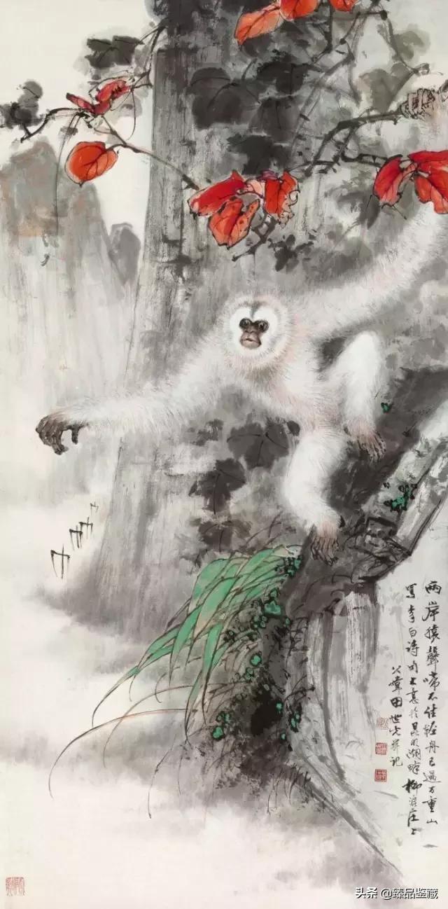 工笔大师田世光,工笔画大师田世光画孔雀好美