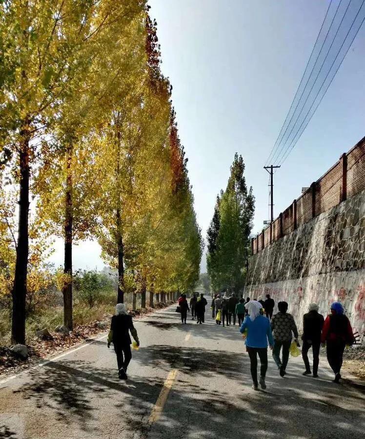 植物百科知识大全儿童,植物百科app