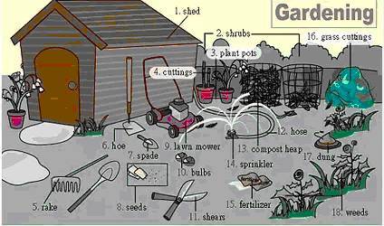 30张场景单词图，教你记住高频生活词（建议收藏）