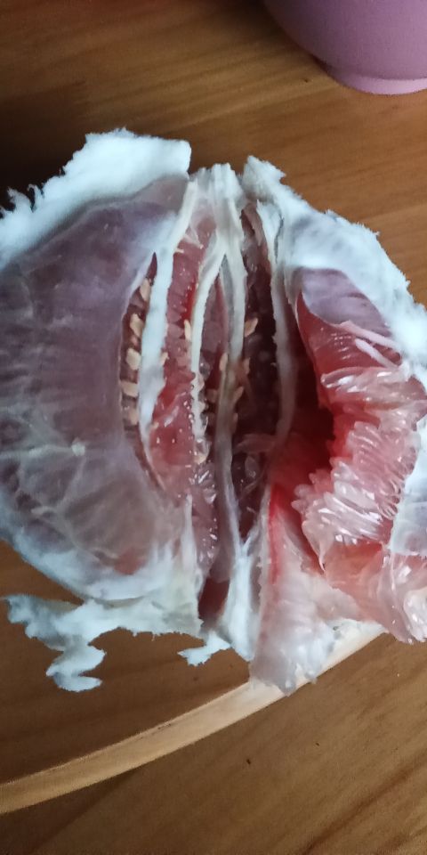 四川中江金秋柚乡果飘香,金秋九月柚果飘香说丰年