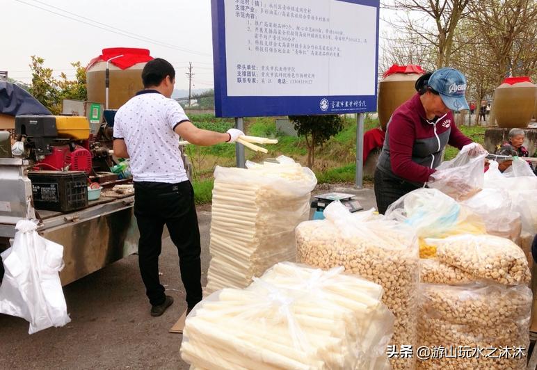 永川吃喝攻略旅游景点,永川旅游攻略推荐