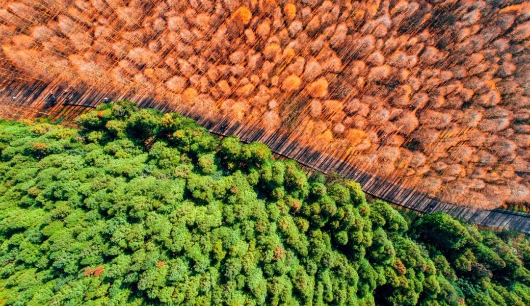 60岁前必去的中国各省区最美天堂,全国各省最美天堂你都去对了吗