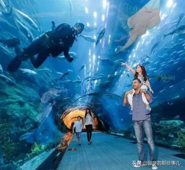 墨尔本亲子游旅游攻略大全,墨尔本亲子游攻略