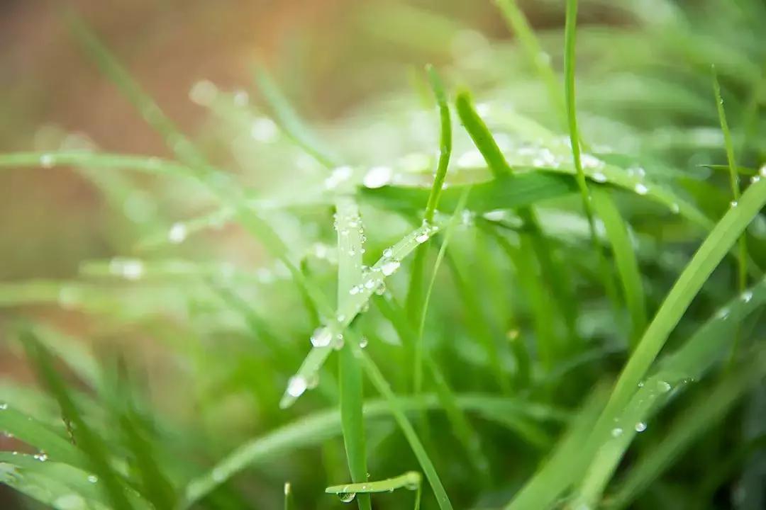 如果有一天累了就回老家到处走走,如果有一天累了就回来吧