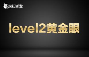 level2短线交易行情,level2看主力资金分析