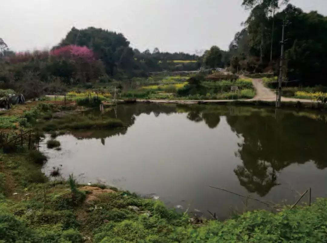 乐山市生态文明,庆祝新中国成立70周年特辑宣讲