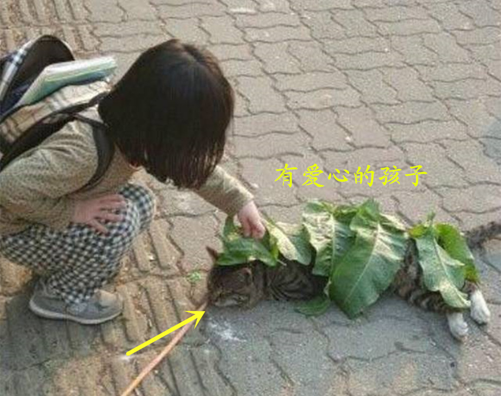 孩子喜欢不同的颜色代表着什么,喜欢什么颜色就代表你是什么性格