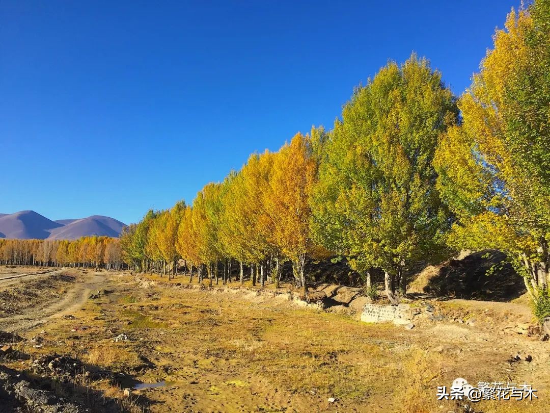 心理学基础知识社会心理学,心理学笔记全集