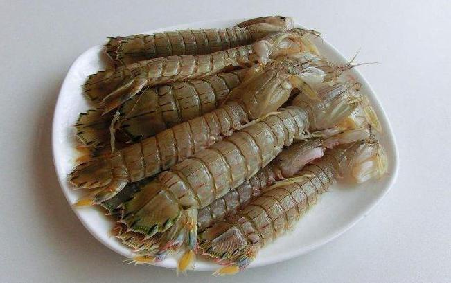 皮皮虾壳上有拉链,皮皮虾的拉链在哪